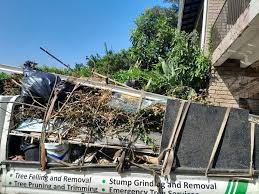 Best Yard Waste Removal  in Cedartown, GA
